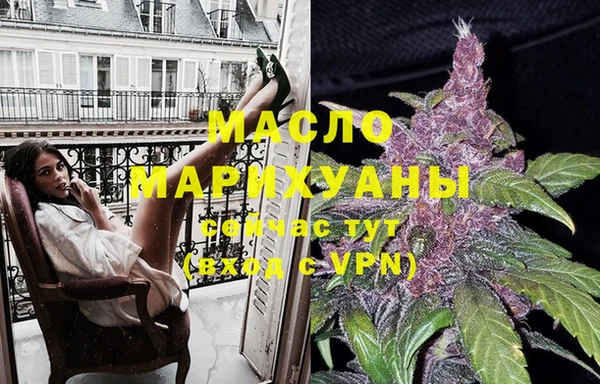 спиды Ельня