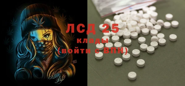 спиды Ельня