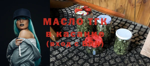 индика Елизово