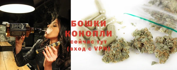 индика Елизово
