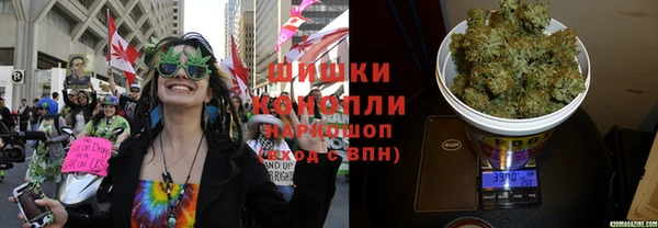 ГАЛЛЮЦИНОГЕННЫЕ ГРИБЫ Заволжск