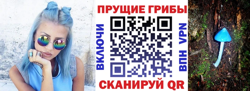 Галлюциногенные грибы ЛСД  Купить закладки  Ленинск 